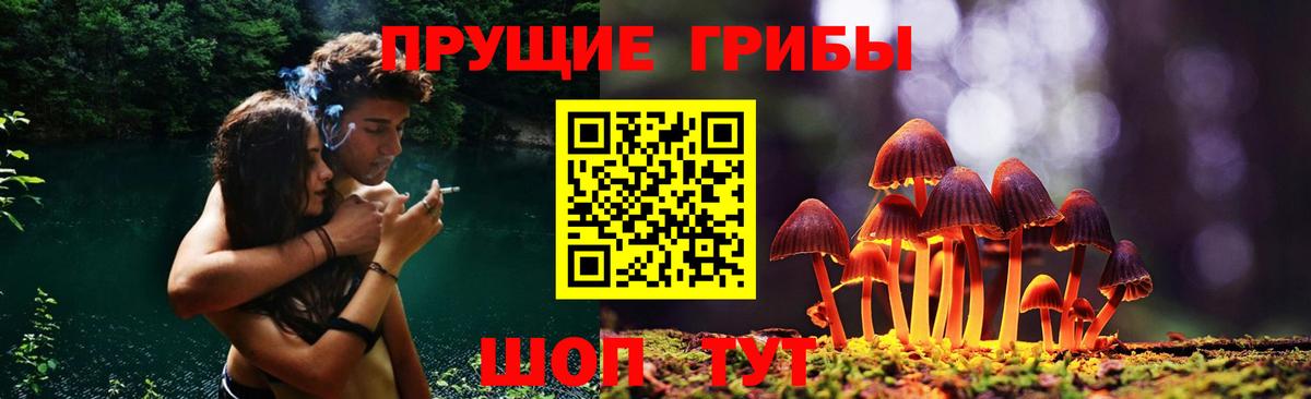 Псилоцибиновые грибы мицелий  где купить наркоту  Гудермес  Вход с VPN 