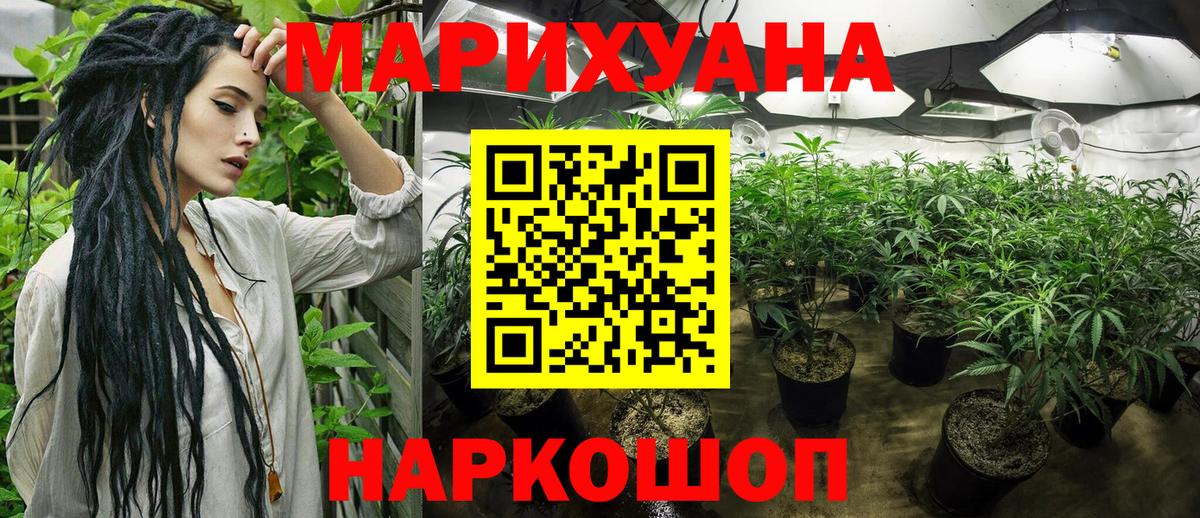 Псилоцибиновые грибы Гудермес